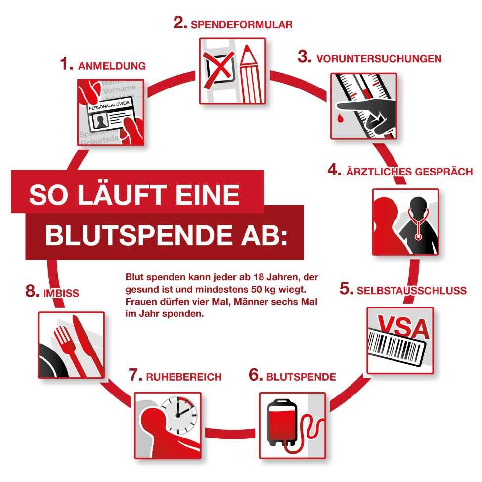 Infografik Ablauf einer Blutspende